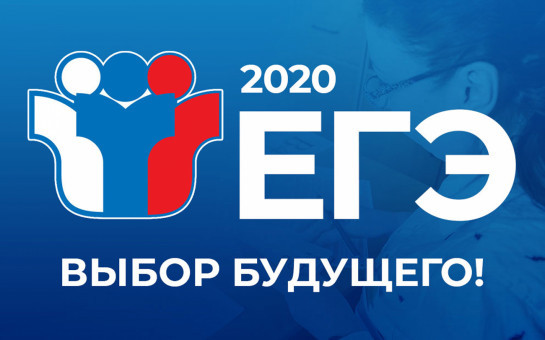 Обществознание в Новосибирской области сдавали почти 6,5 тысячи выпускников