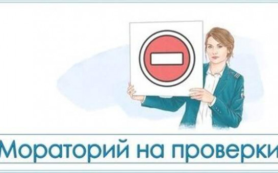 Введен мораторий на проведение плановых проверок 